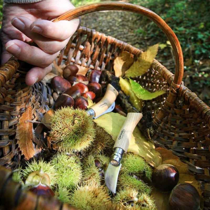 Couteau à Châtaignes Opinel numéro 7 manche en chêne