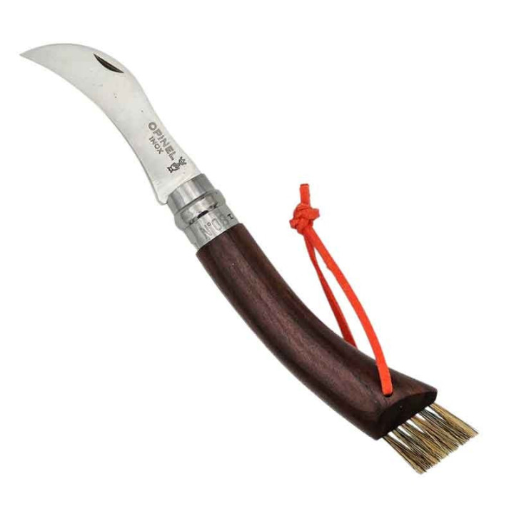 Couteau à champignons Opinel N°8 noyer noir | Coffret plumier vitré