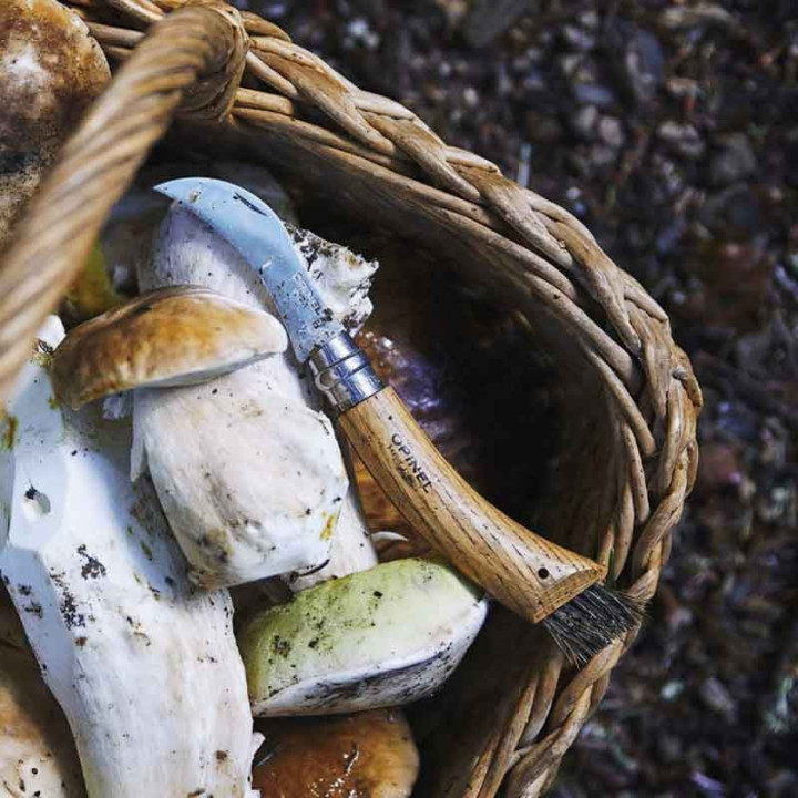 Coffret couteau à champignons Opinel avec étui